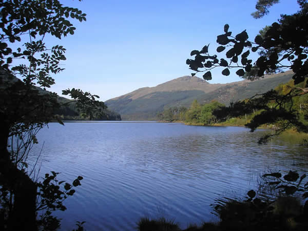 Self Catering Lodges Loch Eck