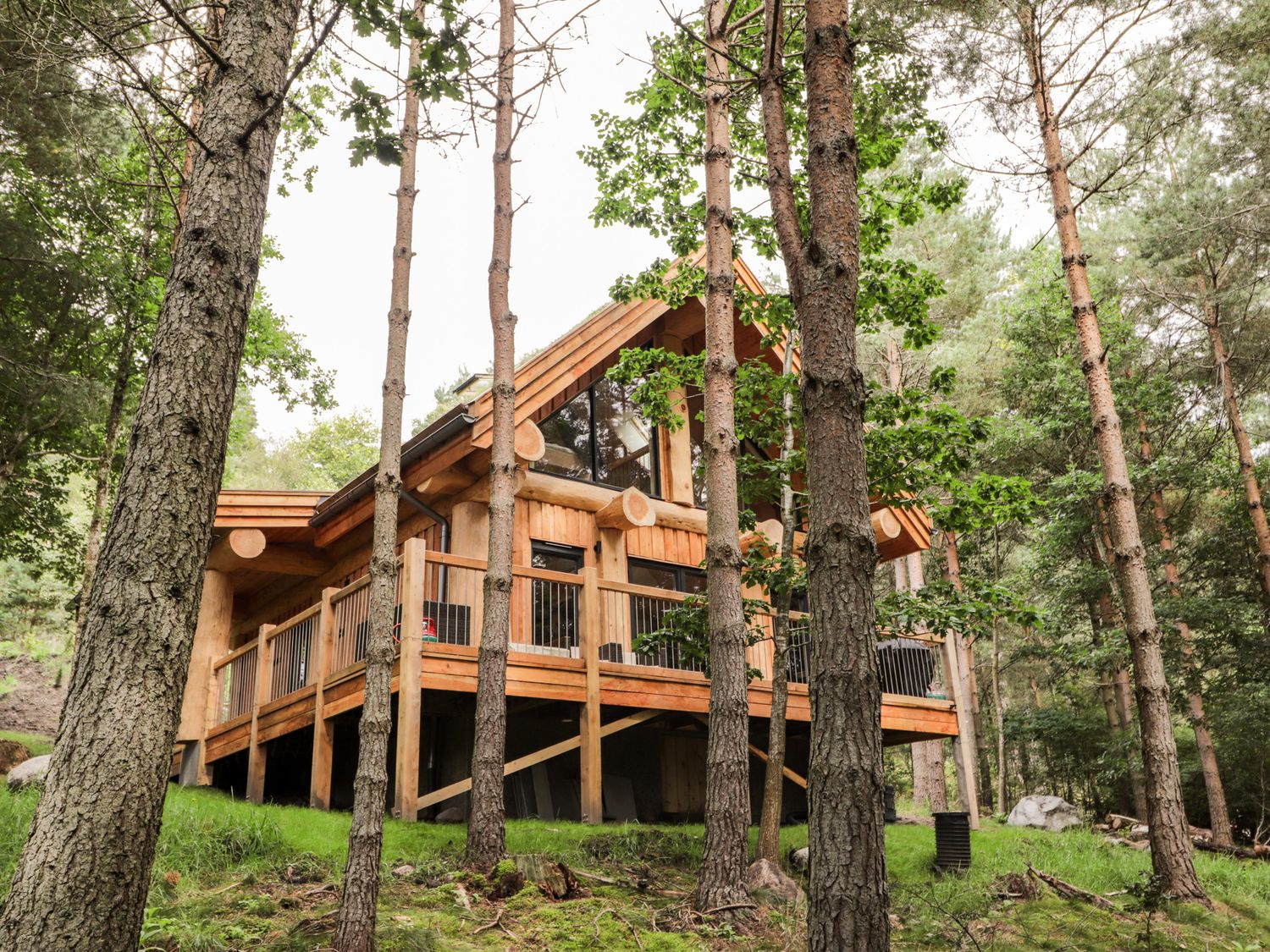 Scottish Woodland Hideaway Cabin