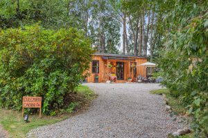 Northern Lights Log Cabin Accommodation